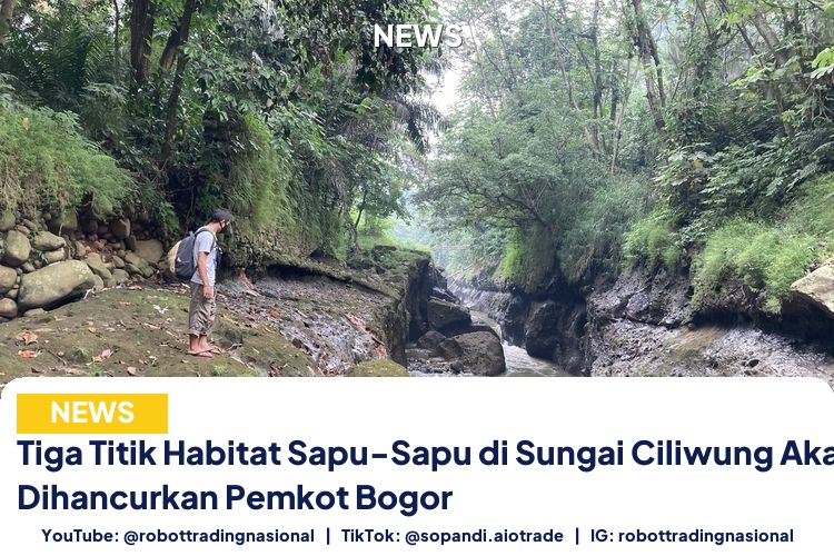 Tiga Titik Habitat Sapu-Sapu di Sungai Ciliwung Akan Dihancurkan Pemkot Bogor